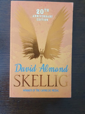 Skellig foreign language book like new with box now