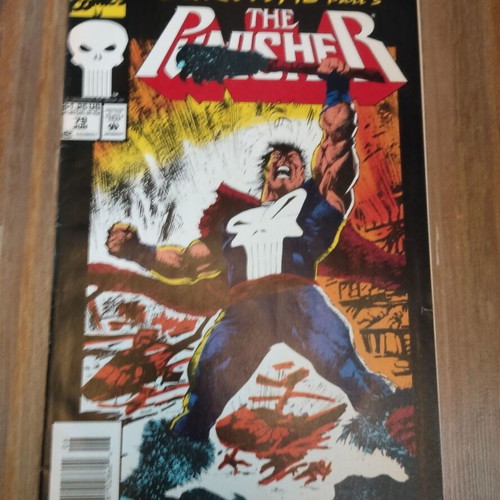 Punisher (2nd Series) #79 used comic in English