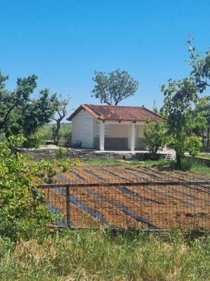 Μονοκατοικία στην Τανάγρα Βοιωτίας 40 τ.μ. με αποθήκη και θέα