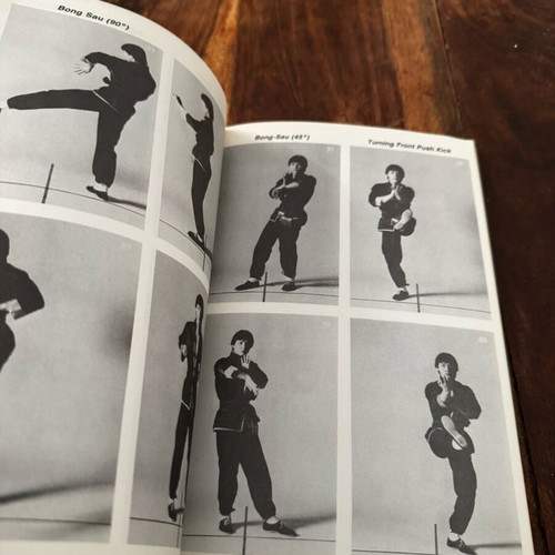 The Breaking Power of Wing Chun book used, rare