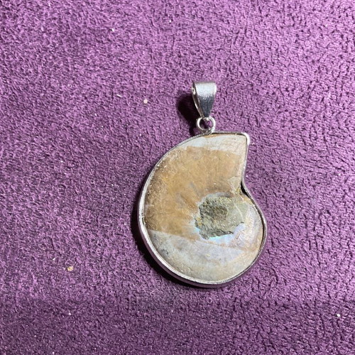 Ammonite pendant new