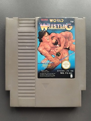 Nintendo NES World Wrestling game