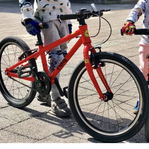 Frog 52 Single Speed 20" Kids Bike used, red, city type