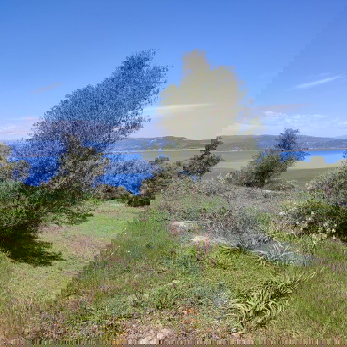 Αγροτεμάχιο 4483,5 τ.μ. οικοδομήσιμο στην Αμμουλιανή Χαλκιδικής