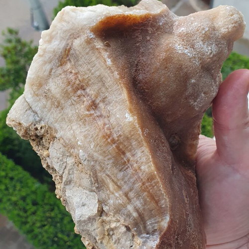 Calcite root beer from Megara new mineral specimen