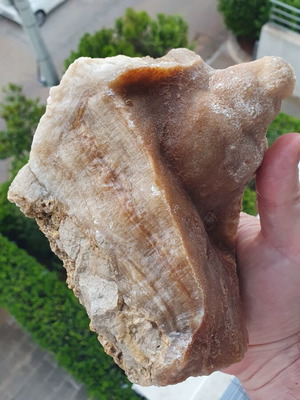 Calcite root beer from Megara new mineral specimen