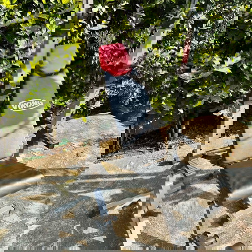 Комплект стойки Viking BR-51 и пейка за фитнес Viking BR-42 Easy Fold употребявани, в добро състояние