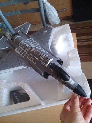 F-35 30mm EDF FX9635 model jet
