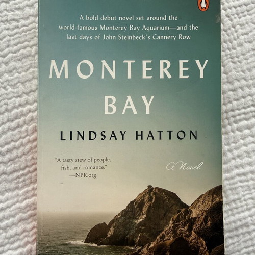 Monterey Bay novel by Lindsay Hatton