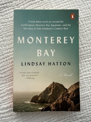 Monterey Bay novel by Lindsay Hatton