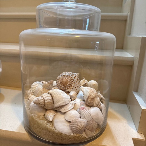Decorative vase with shells new, glass 33 cm height