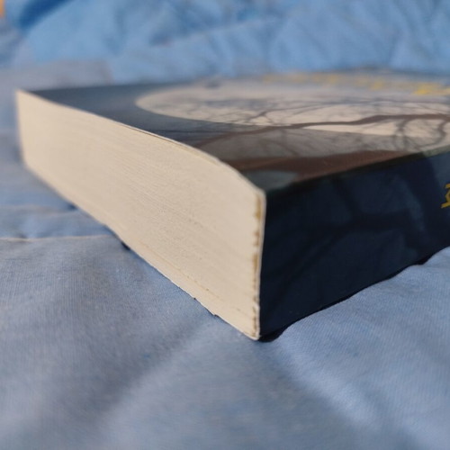 Adoxo Telos by Susan Alice Bickford like new, Greek crime novel