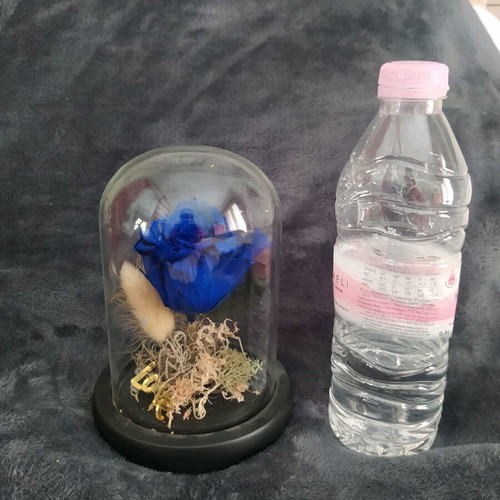 Natural rose used in glass dome