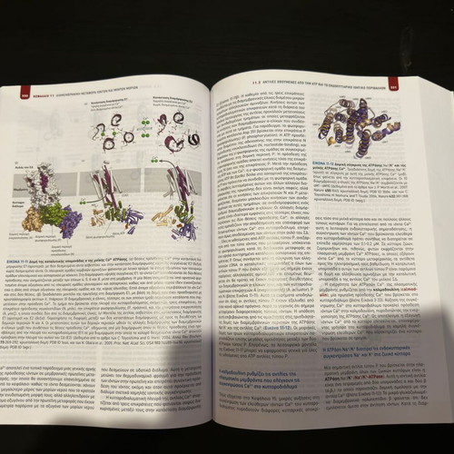 Molecular Cell Biology new edition 2019 by Utopia