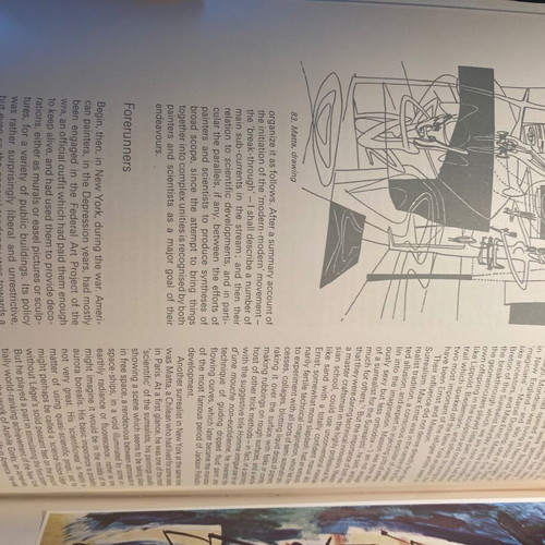 Behind Appearance hardcover book like new, English