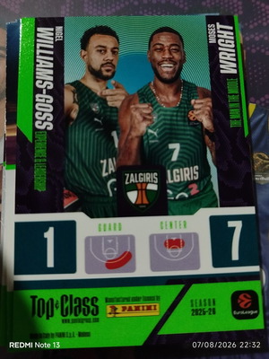Panini Top Class Euroleague stickers used
