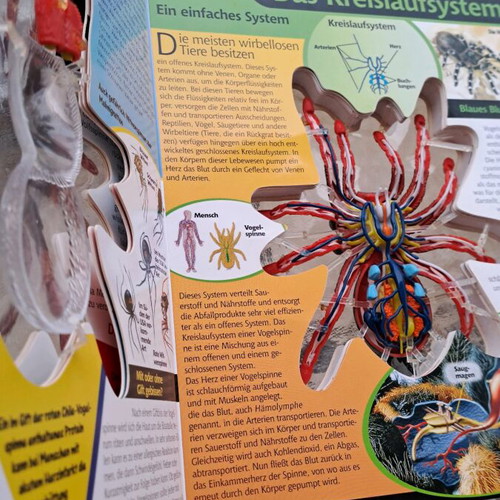 Σπάνιο Συλλεκτικό Βιβλίο Vogelspinne in 3D μεταχειρισμένο, David George Gordon