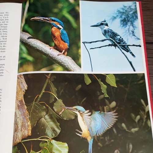 Safari in Africa encyclopedia set like new, 6 volumes