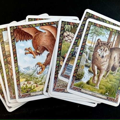 The Druid Animal Oracle set like new with book and cards