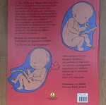 How Did I Come Into The World? Children's Book used