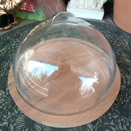 Wooden cheese base or craft stand with transparent dome lid used