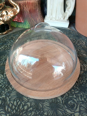 Wooden cheese base or craft stand with transparent dome lid used