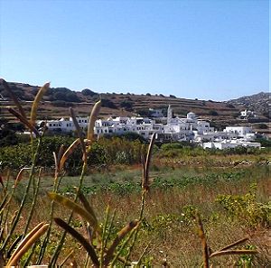 Πωλείται οικόπεδο εντός οικισμού στην Τήνο στο χωριό Μυρσίνης
