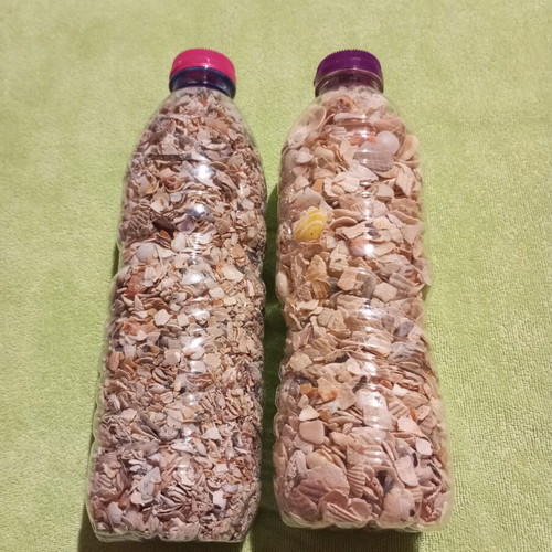 Natural Sea Mix for Crafts and Decoration like new