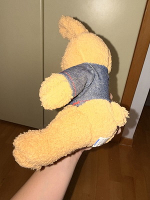 Teddy bear new