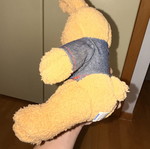 Teddy bear new