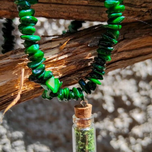 Terrarium shell necklace handmade, green with preserved moss