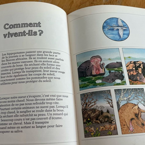 Les animaux sauvages book used, French