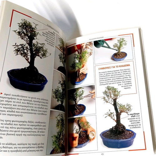 The Cultivation of Bonsai like new, techniques and care guide