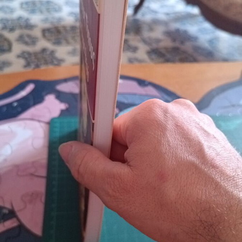 Proskynima stous Agious Topous book like new by Christoforos V. Adamopoulos