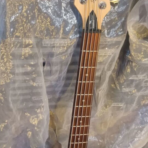 Sound Station SPCL Edition 5-string electric bass guitar