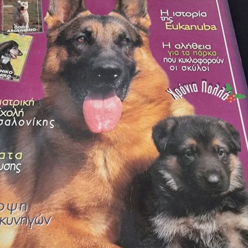 Vlemma magazine like new, dog and cynophilia