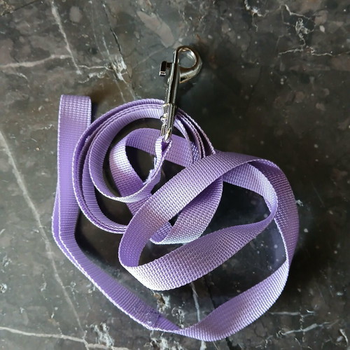 Dog Leash purple/lilac, like new, synthetic fabric 1.5m