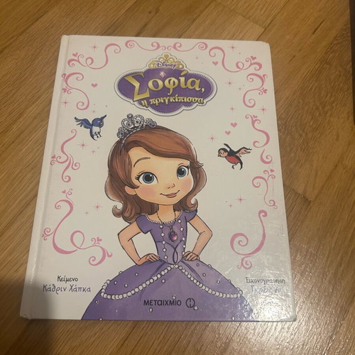 Sophia the Princess storybook used