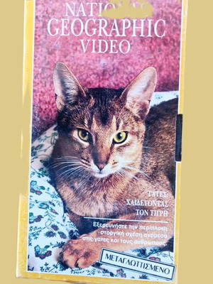 Video cassette Cats Petting the Tiger like new