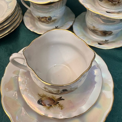 Soviet Birds Korosten Porcelain Set like new for 5 persons