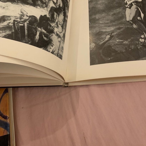 Delacroix book used with paintings