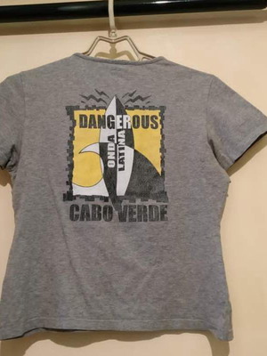 Grey short-sleeve t-shirt used with Fruit of the Loom print