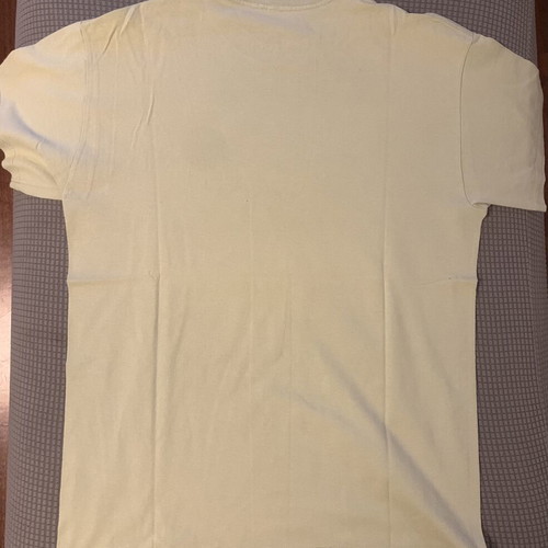 Beastie Boys Cut Out T-Shirt 2007 used, lime green cream, size M