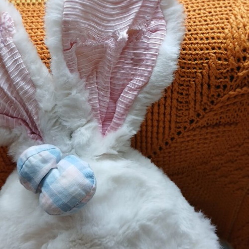 Plush rabbit used