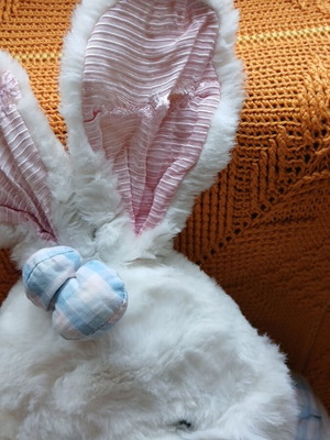 Plush rabbit used