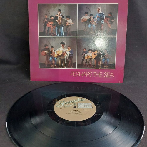 Ritmia Perhaps The Sea vinyl used, entechno in very good condition