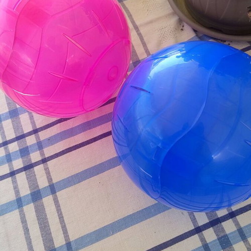 Hamster balls like new, set of 2, large for small pets