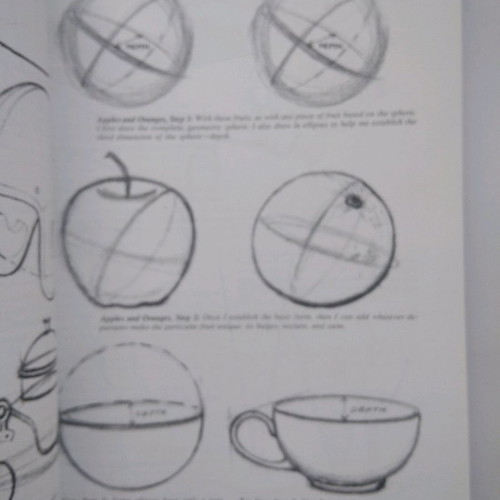 Book How To Draw What You See used