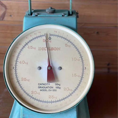Vintage scale large in perfect turquoise color used