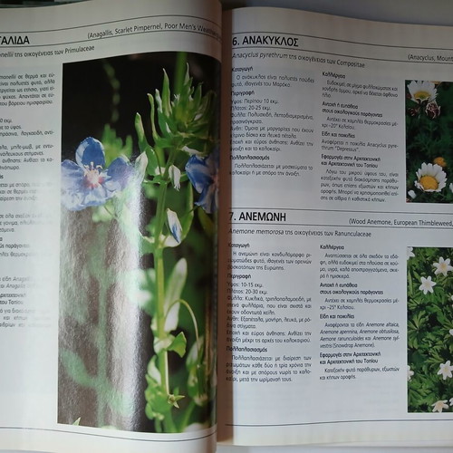 Plants in Pots Anthoculture Guide Volume 1 used